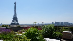 Toiture de la Cité de l’architecture et du patrimoine à Paris